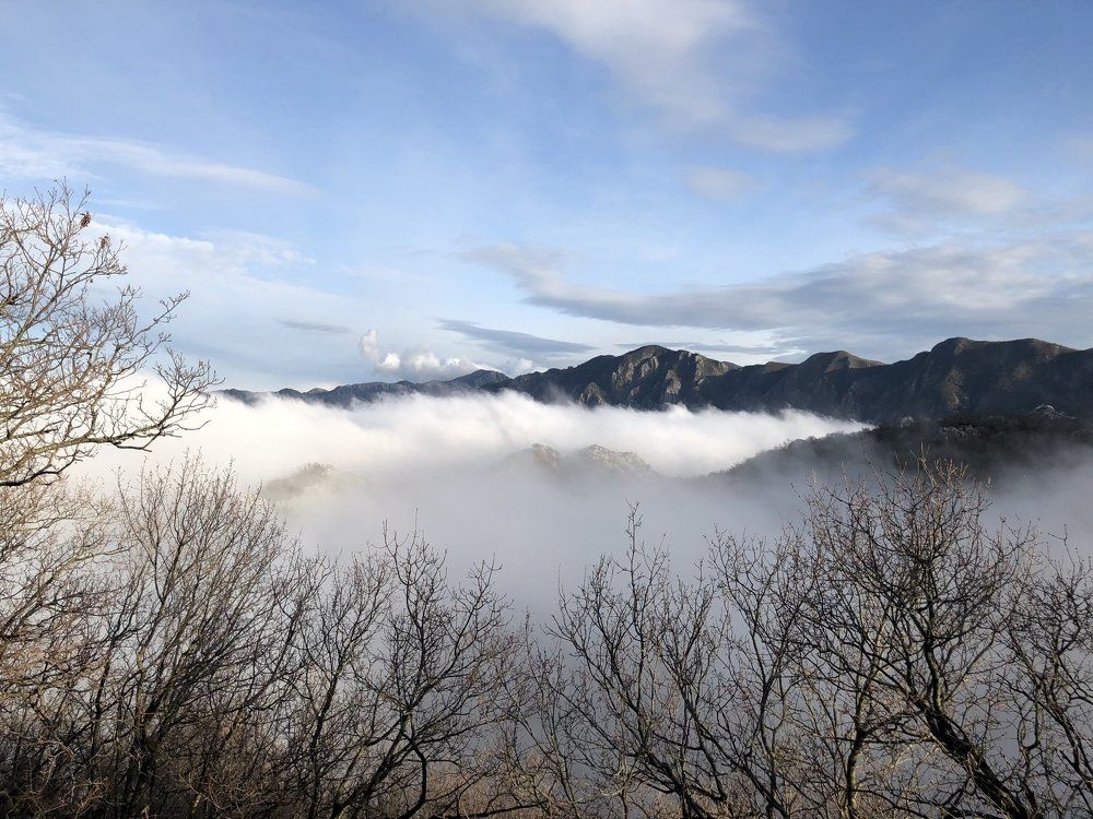 The Roof of Mediterranean