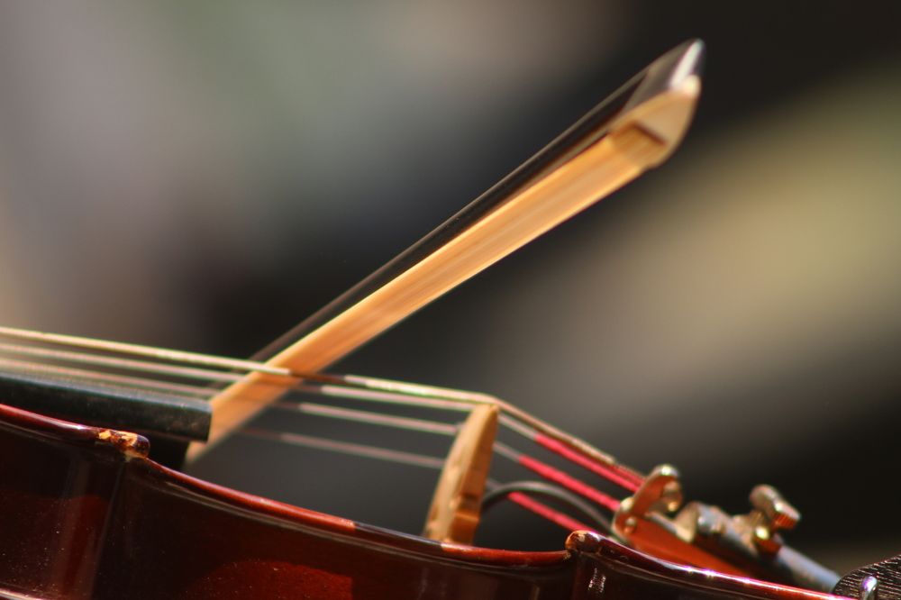 Violin