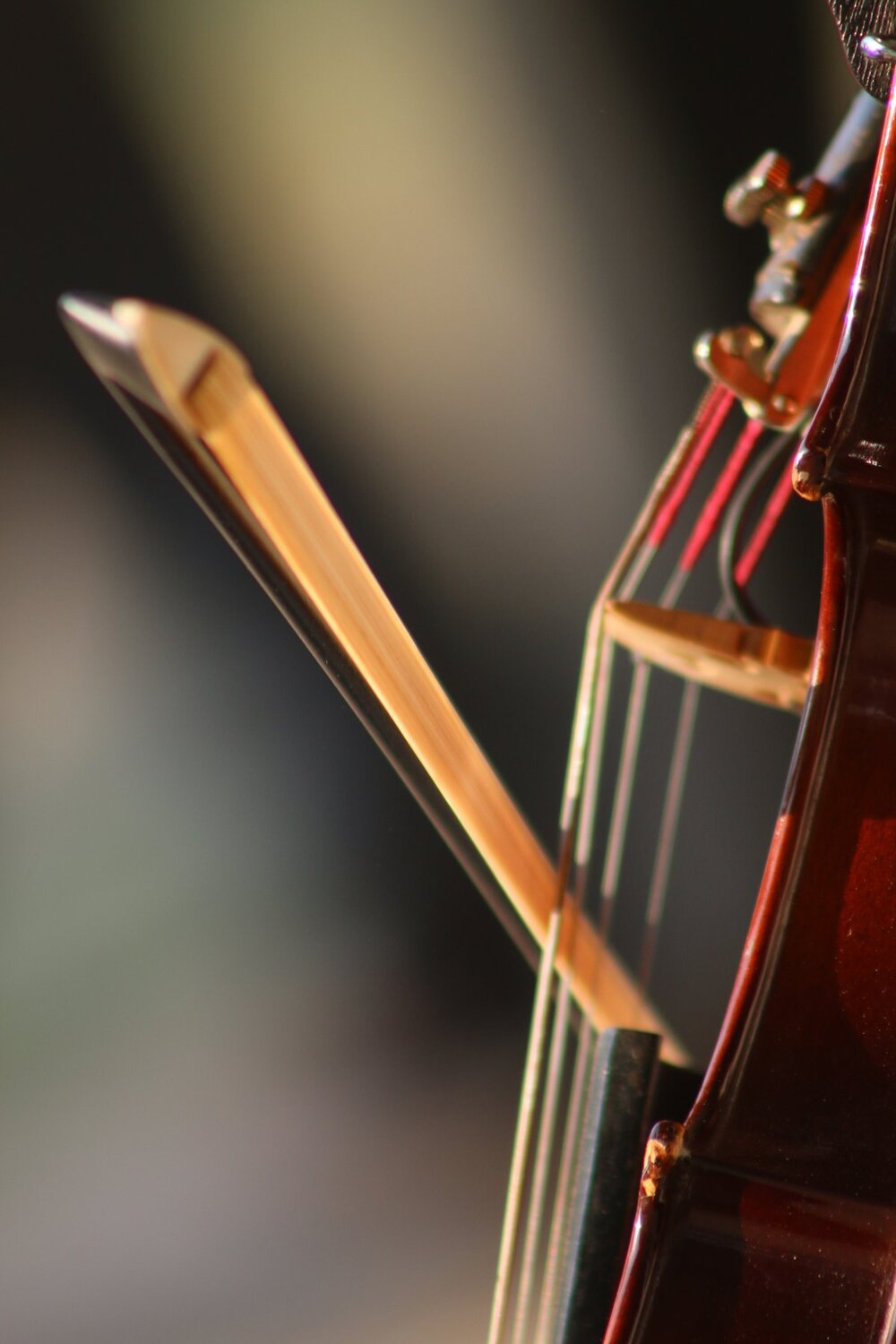 Violin
