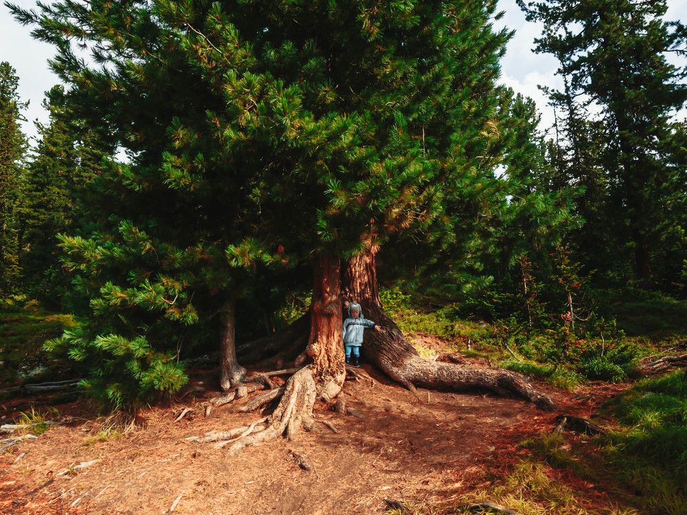 Маленький большой человек