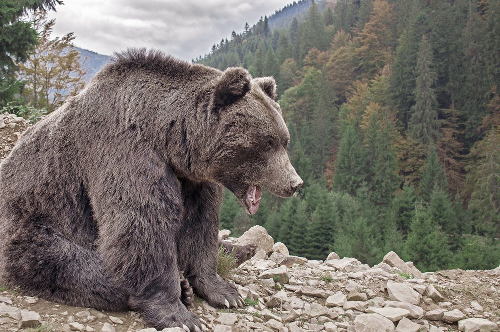Маша!!! Где ты?!