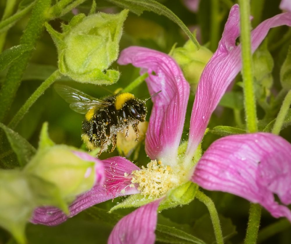Photograph by Victor Pruhnitskiiy