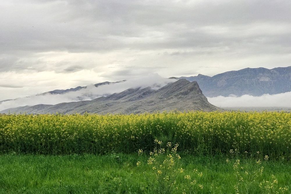 Spring season nature