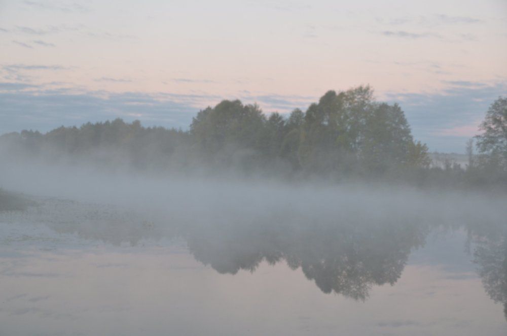 Эх, туман, туман...