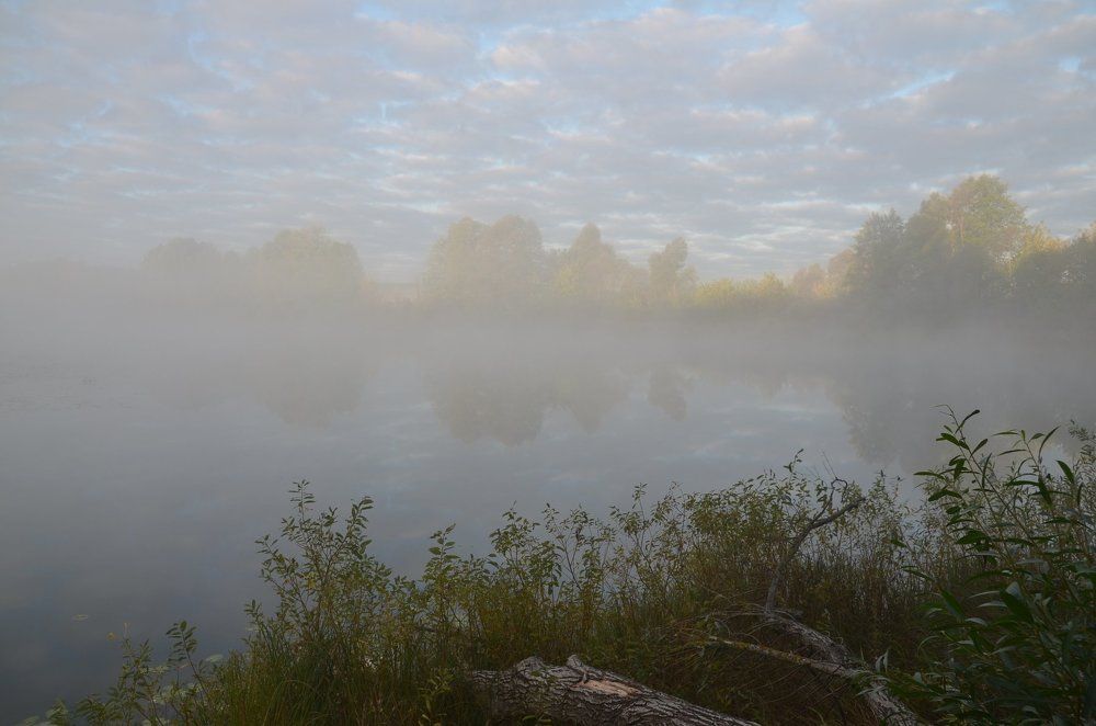 Утро туманное.