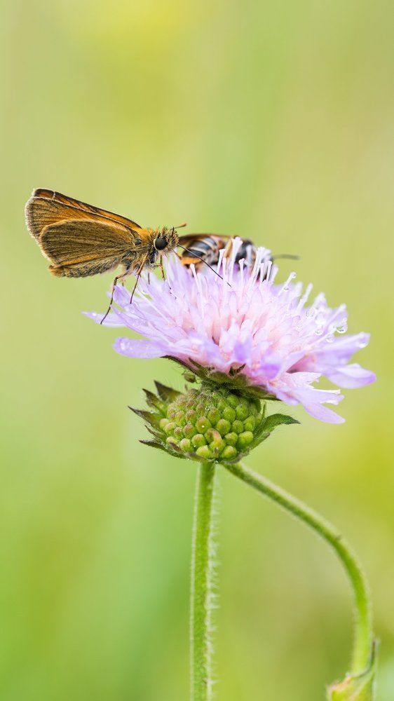На рассвете