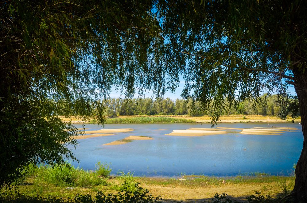 Photograph by Елена Васильева