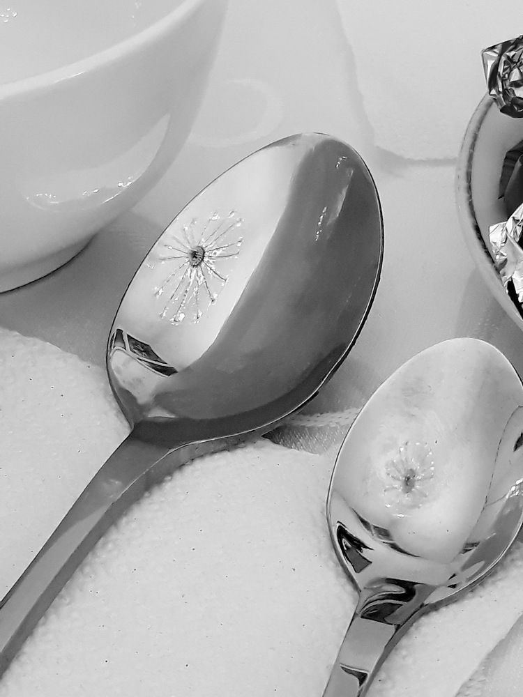 Из жизни паучков