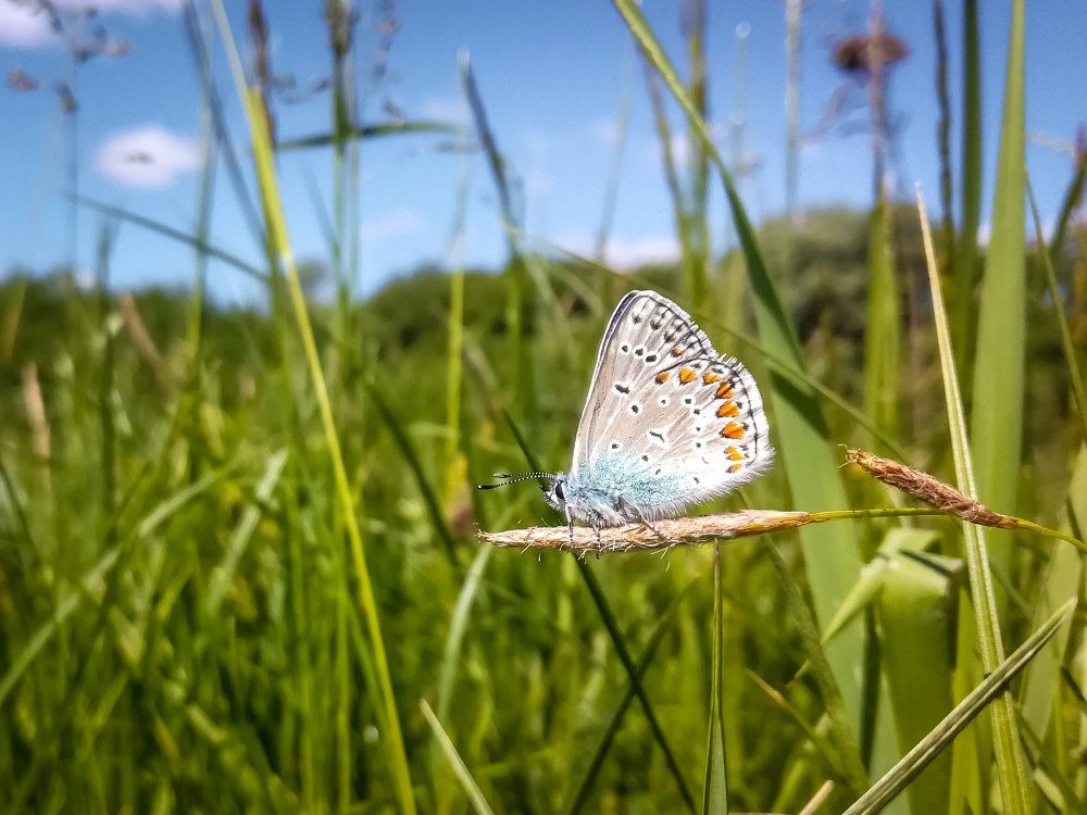 Photograph by Антон Кривошейцев