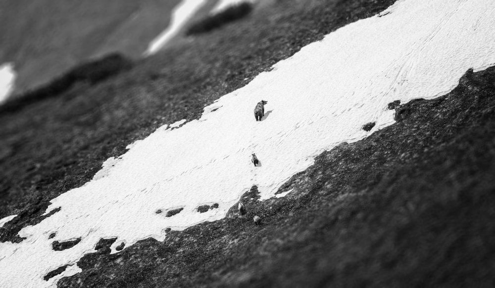 Камчатские следы