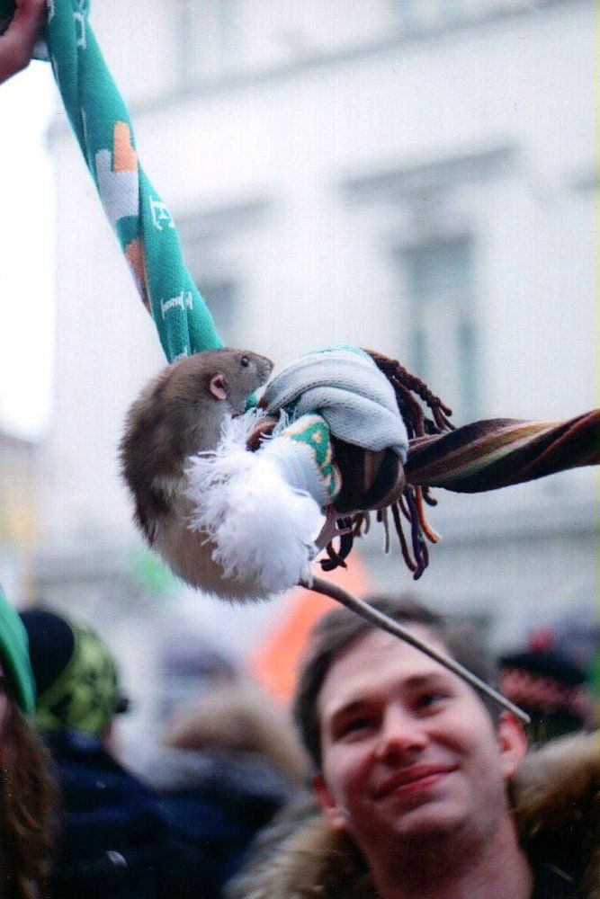 Photograph by Елизавета Телячкова