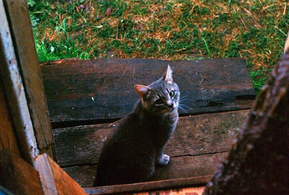 Photograph by Елизавета Телячкова