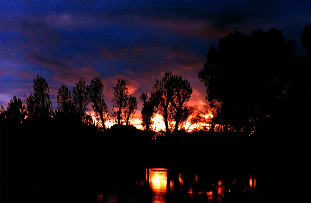 Photograph by Елизавета Телячкова