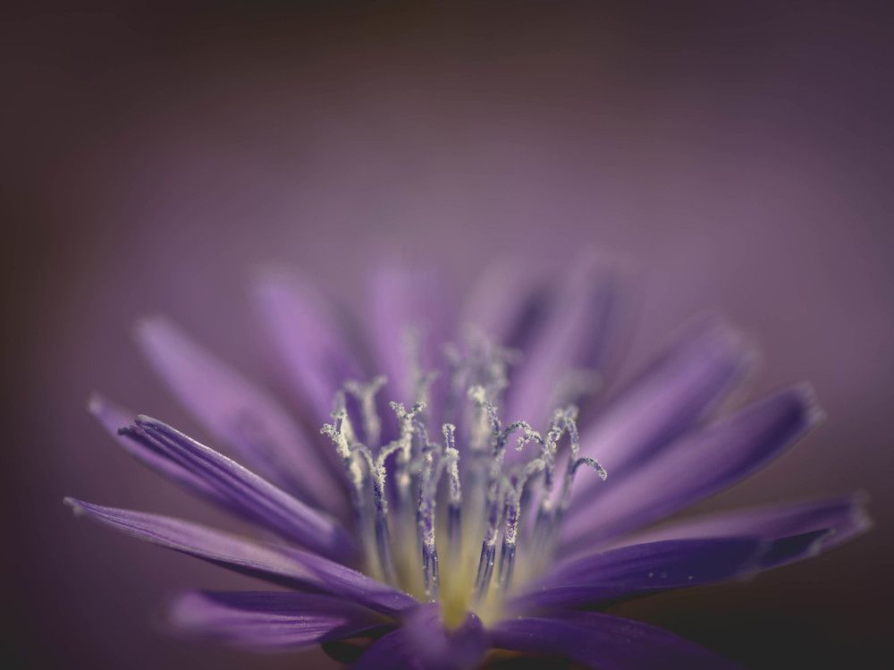 Фотография автора Константин Яковлев