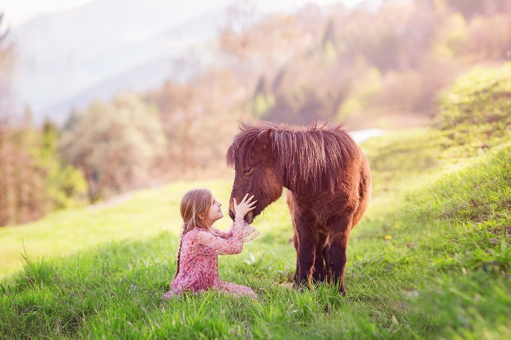 Photograph by Светлана Тузлукова