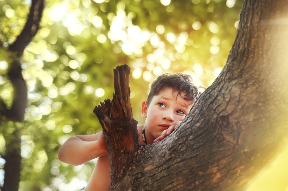 Photograph by Ирина Федорова