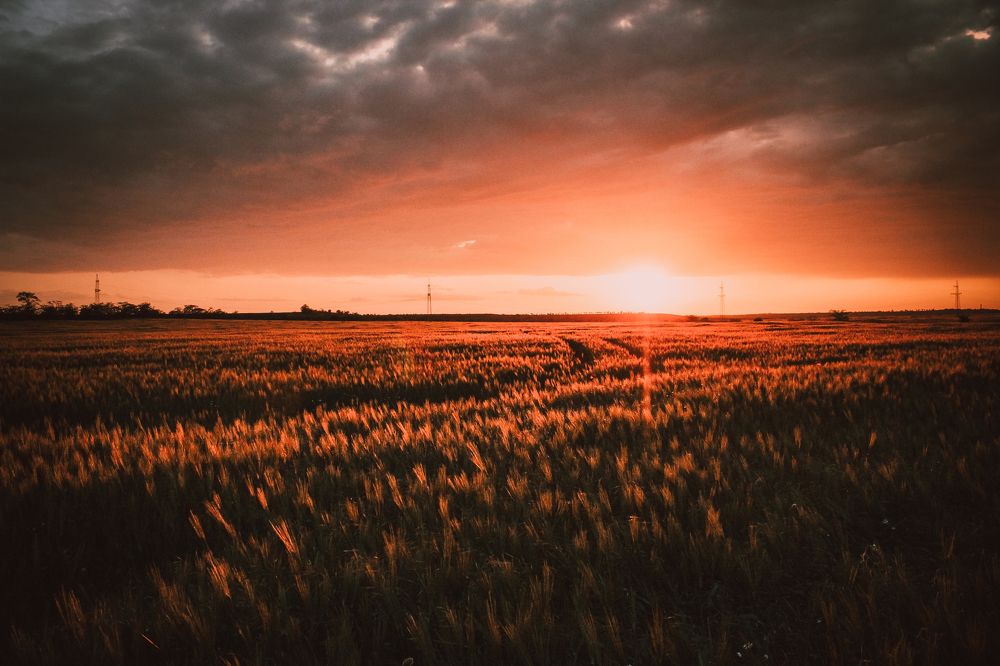 Полями Крыма