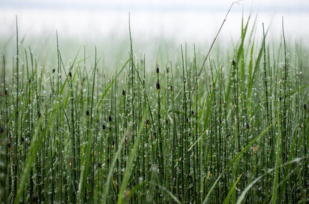 Photograph by Asie Chulakova