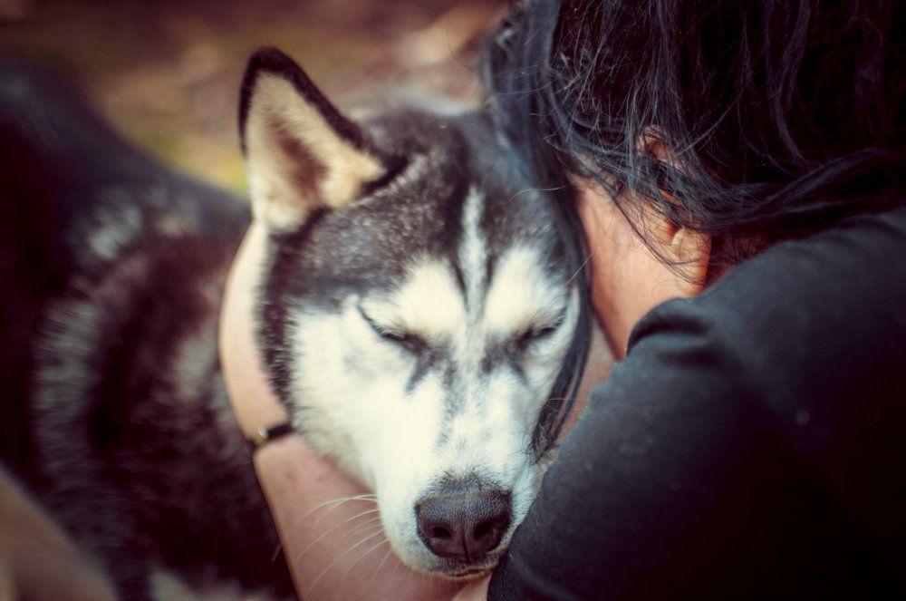 Photograph by Asie Chulakova