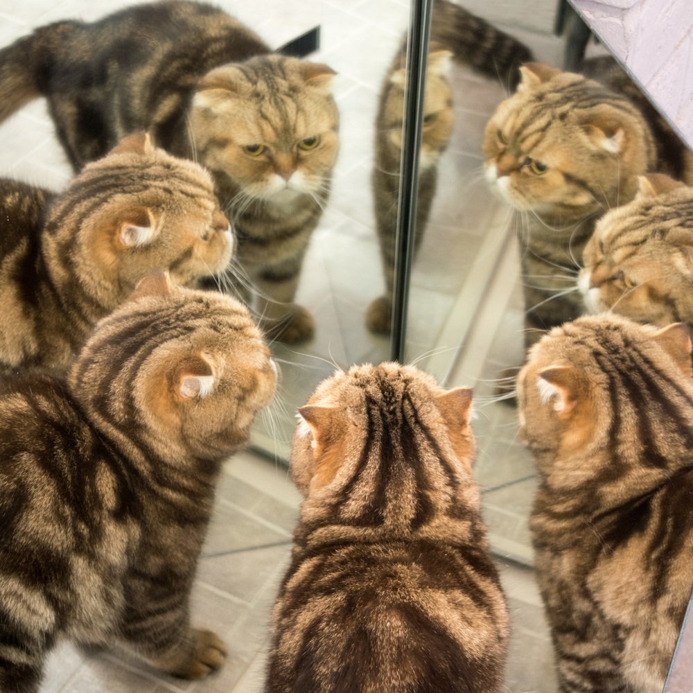 Photograph by Прокошева Екатерина