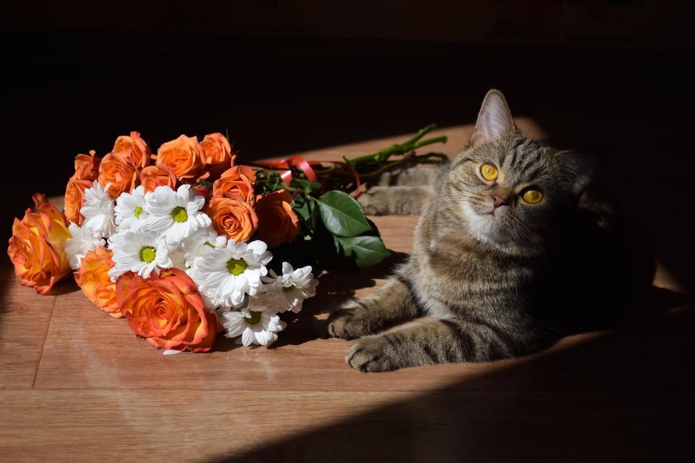 Photograph by Анастасия Койчина