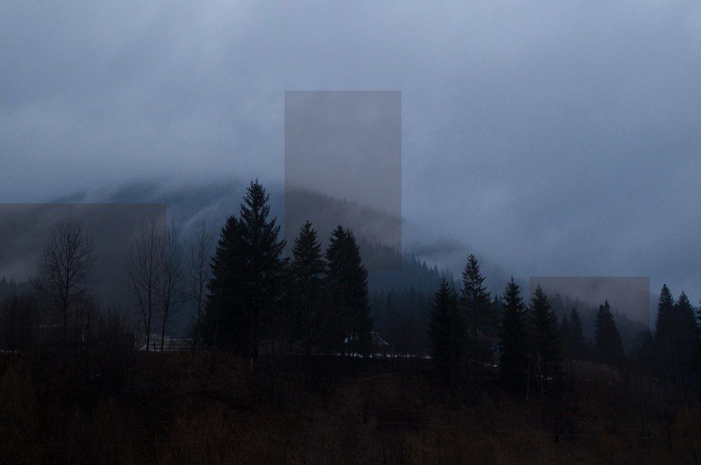 Photograph by Freeze