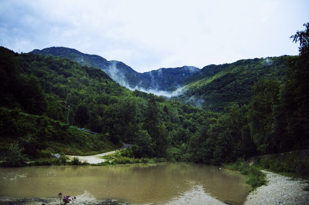 Photograph by Freeze