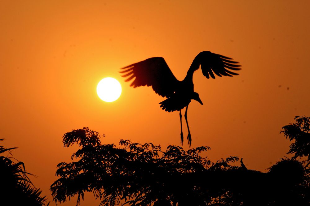 In front of the Sun