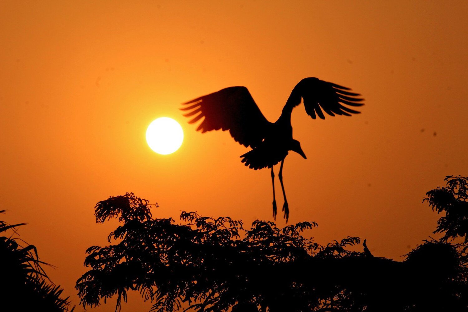 In front of the Sun