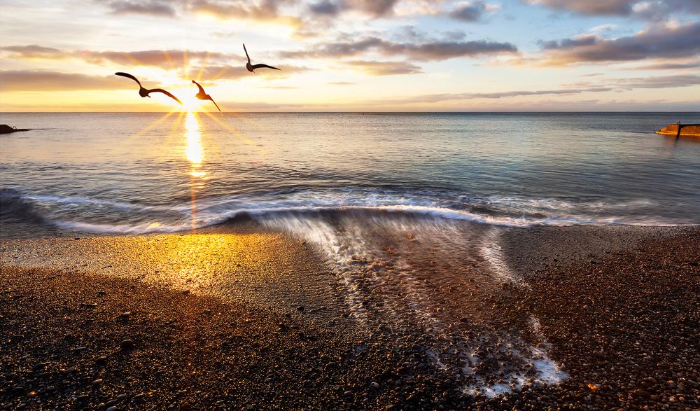 Зимнее утро на Черном море