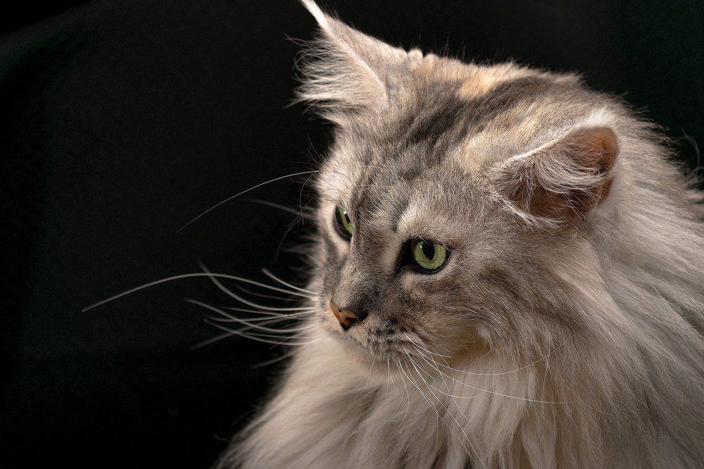 Photograph by Михаил Новиков