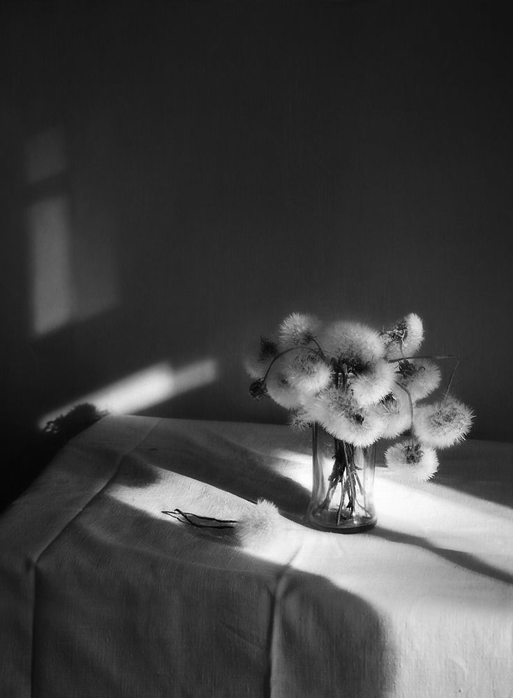 Утренний свет