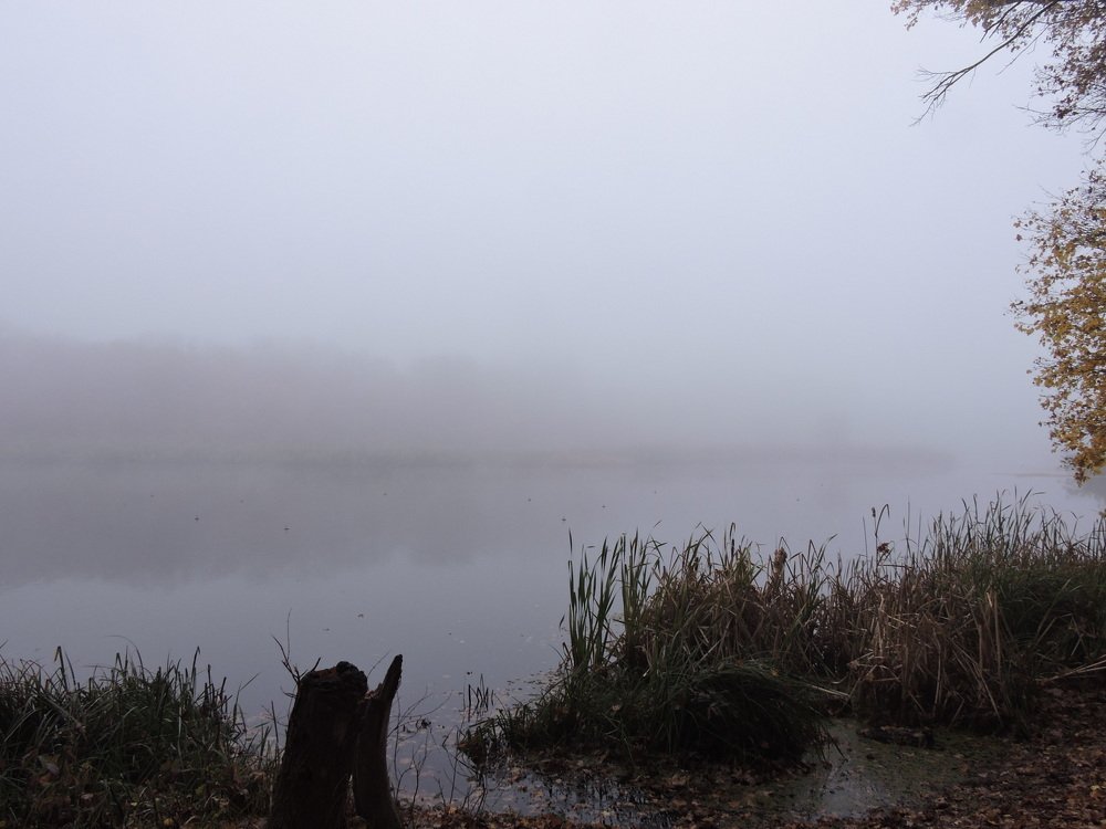 Утро на озере