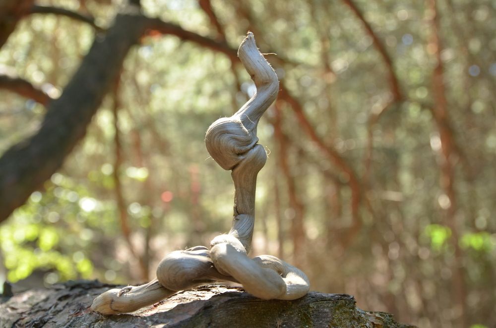 Хвала Солнцу. Барабашка -- язычник!