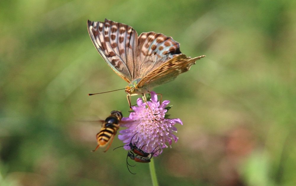 Photograph by Алексей Федулов