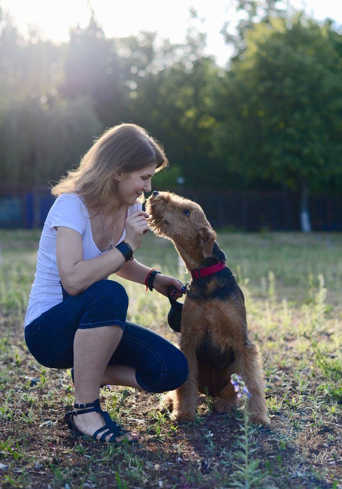 Воспоминания об Электронике