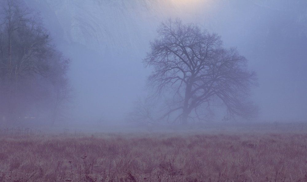 The road less travelled