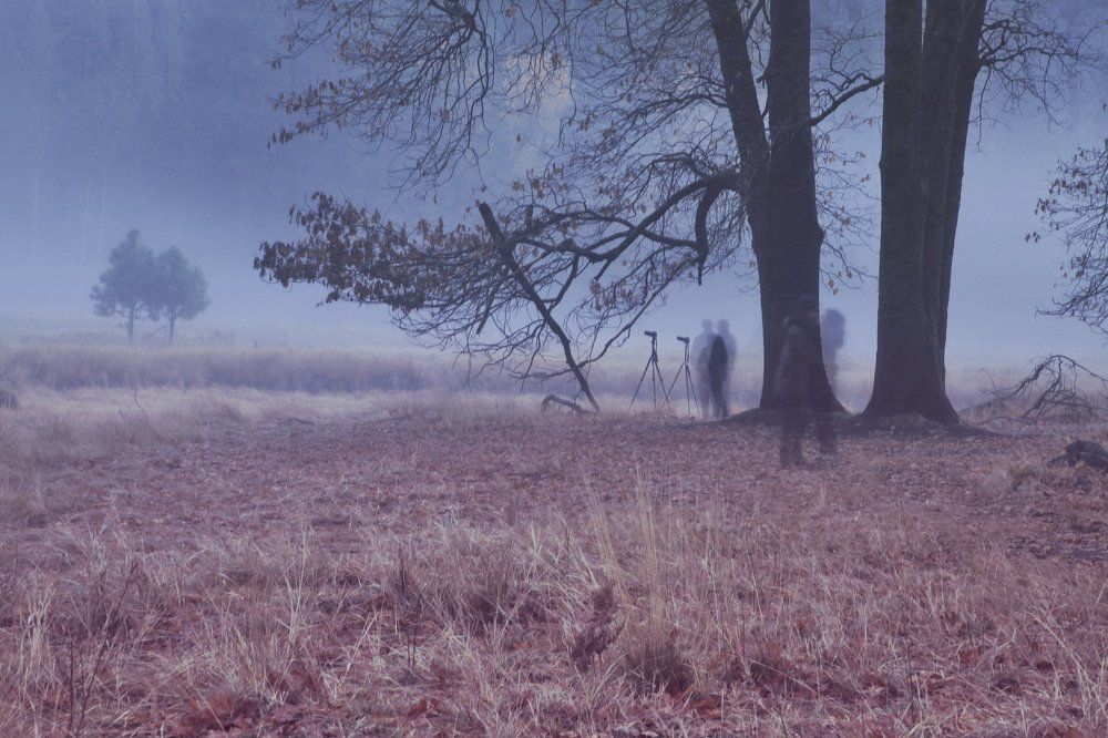 Ghostly lovers ghostly photographer