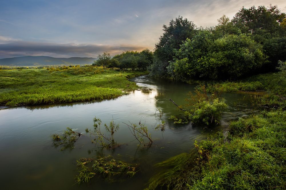 Photograph by Дмитрий Шовтюк