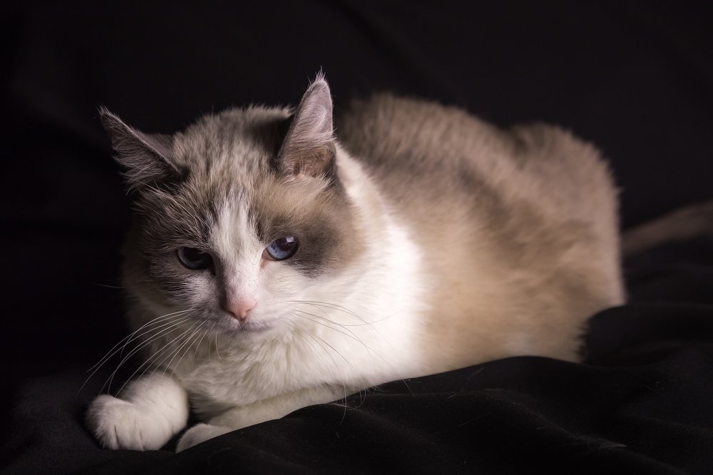 Photograph by Антон Кривошейцев