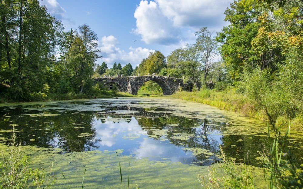 "Чёртов мост" Тверская обл
