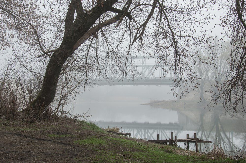 Утром на речке