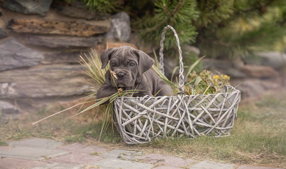 такси на Дубровку