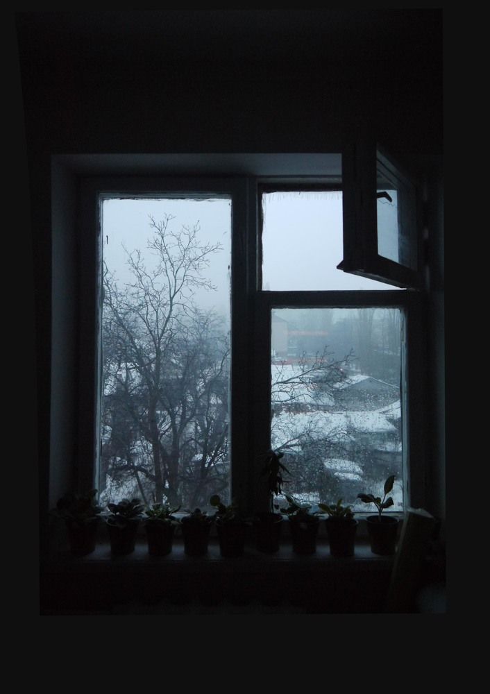 Window to the spring