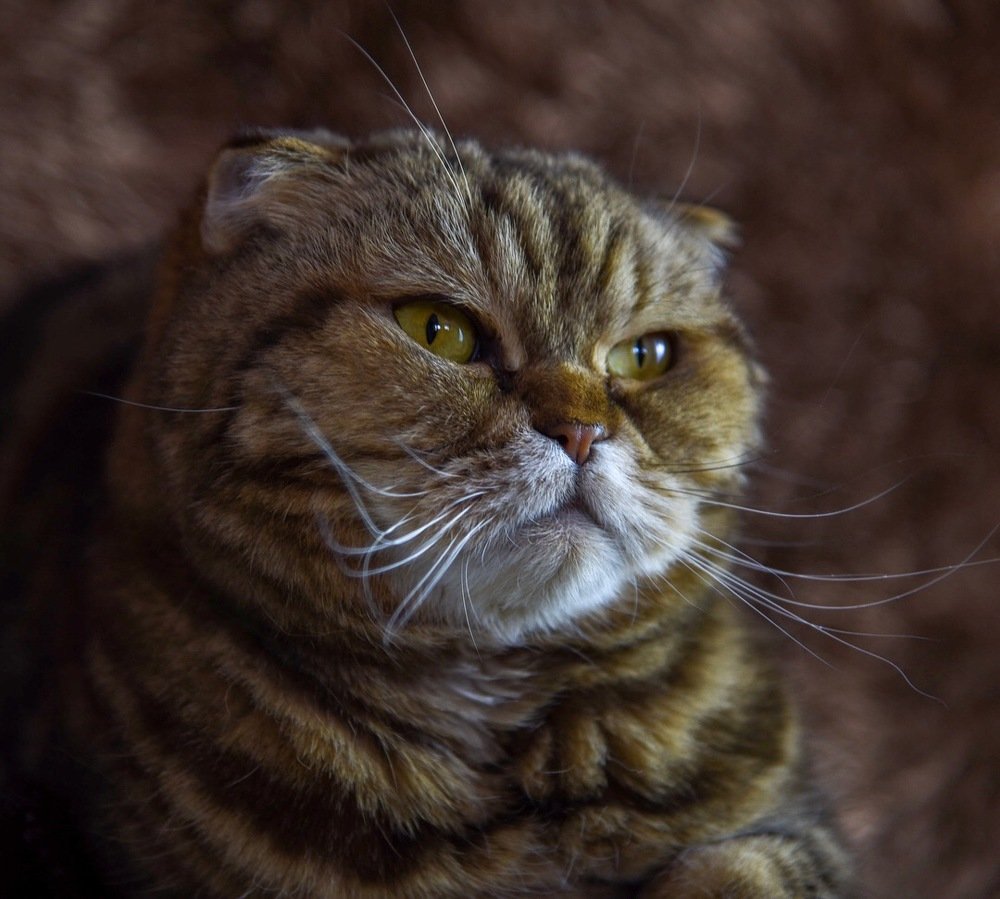 Photograph by Прокошева Екатерина