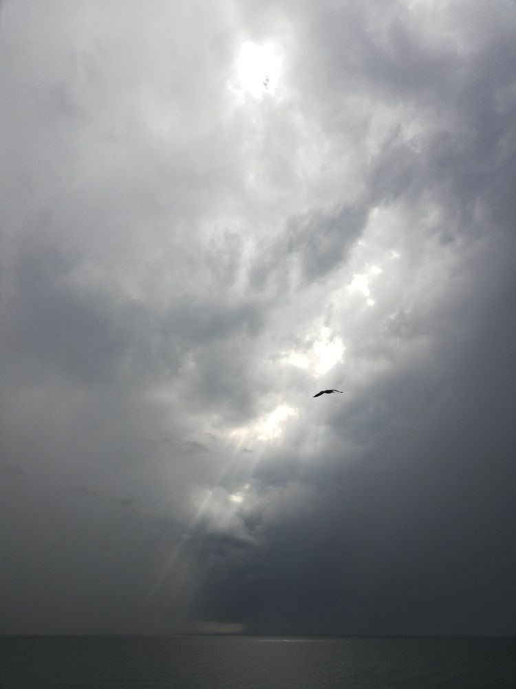 Сочи. Надвигается гроза.