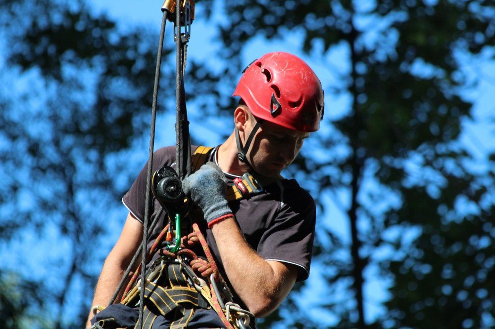 Photograph by Мари Глинская