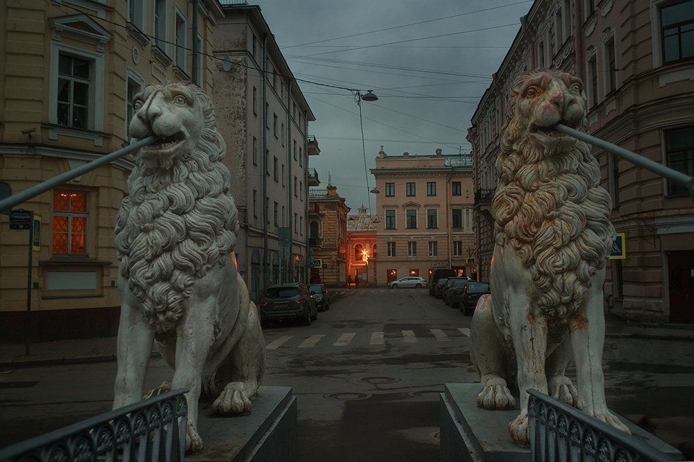 Львиный мостик. СПб