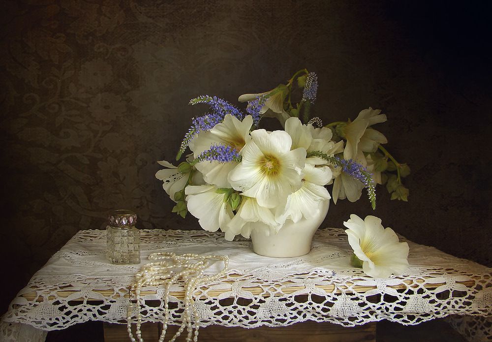 Цветение мальвы...