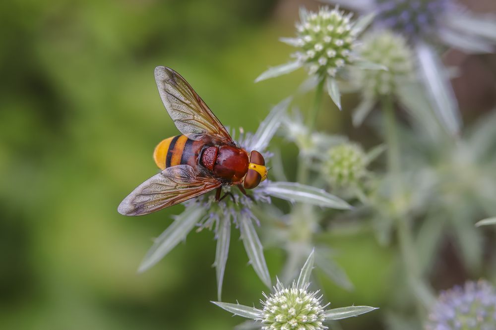 Фотография автора Dolli Pogrebnaya